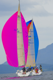 ajax gbr3444c jaywalker gbr97l whw12 tues gjmc 6909